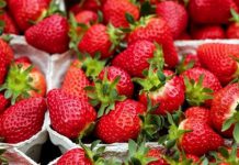 Jenis Buah-buahan yang Dapat Mematangkan Sel Telur