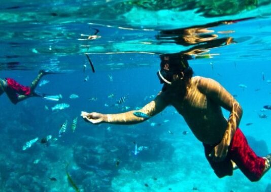 5 Tips Snorkeling di Bali untuk Pemula 5 Tips Snorkeling di Bali untuk Pemula