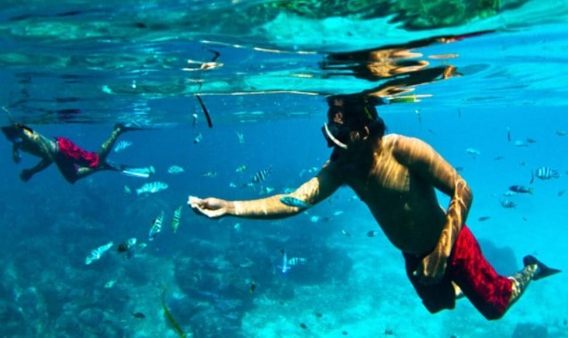 5 Tips Snorkeling di Bali untuk Pemula